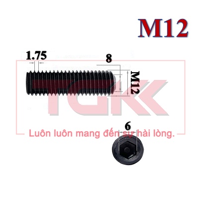 Vít trí thép đen M12 (10mm-40mm)