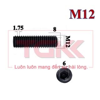 Vít trí thép đen M12
