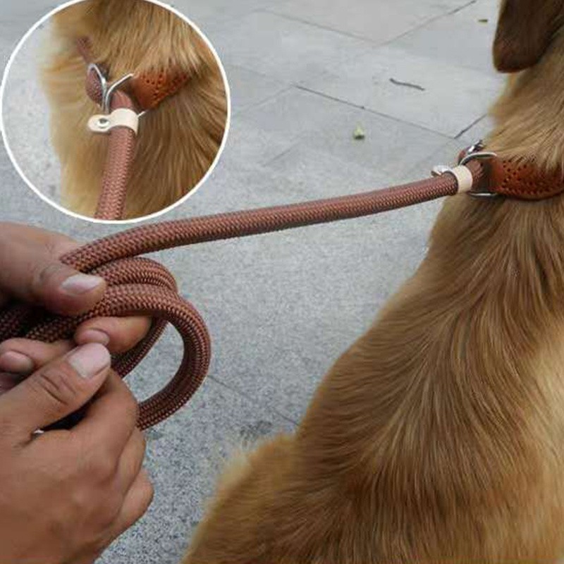 Dây Dắt Thú Cưng Đi Dạo Chất Liệu Da Nylon Chắc Chắn