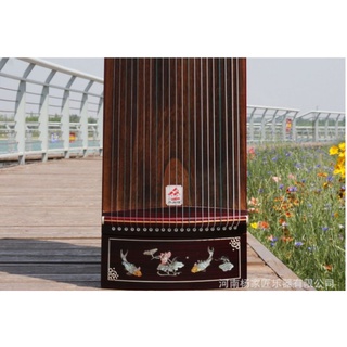 đàn tranh guzheng full 163cm