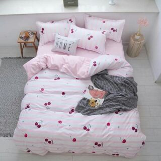 🎁🎁🎁🎁chăn ga polly cotton san hàng ạ