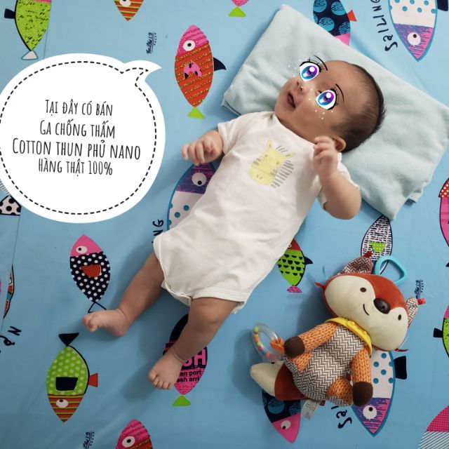 Ga chống thấm cotton thun bảo vệ nệm ngăn ngừa nấm và vi khuẩn tích tụ