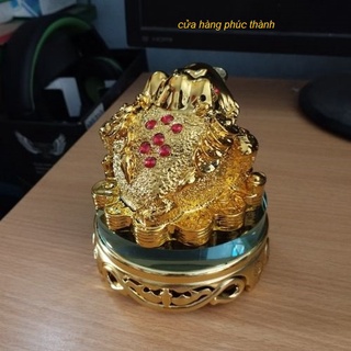 Cóc Thiềm Thừ vàng xoay