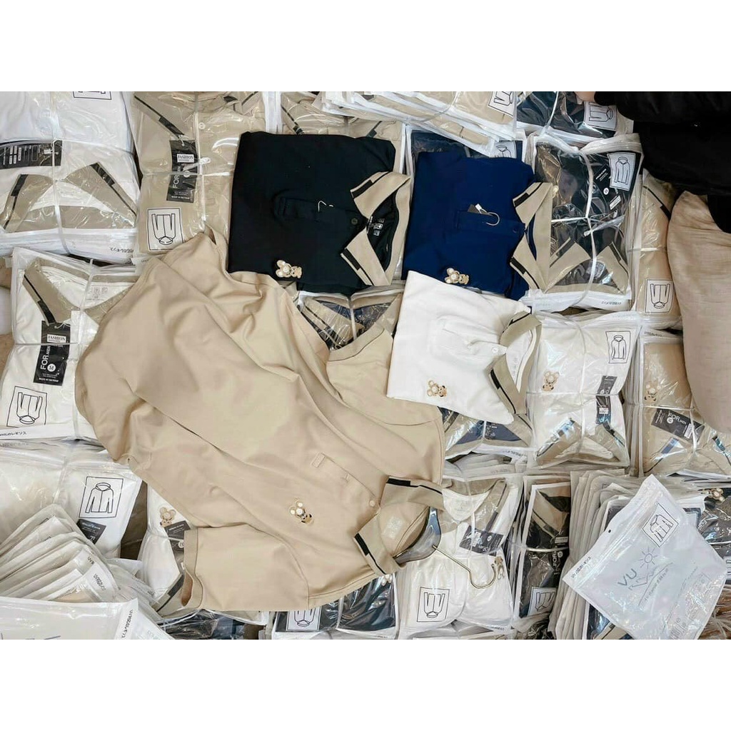 Áo Thun Cổ Bẻ, Áo Polo Nam Cotton mềm mịn Thêu Gấu