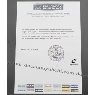 CƯỚC - 100M - TARANTULA - NHỆN [ĐỒ CÂU QUỲNH CHI - MINH HG]