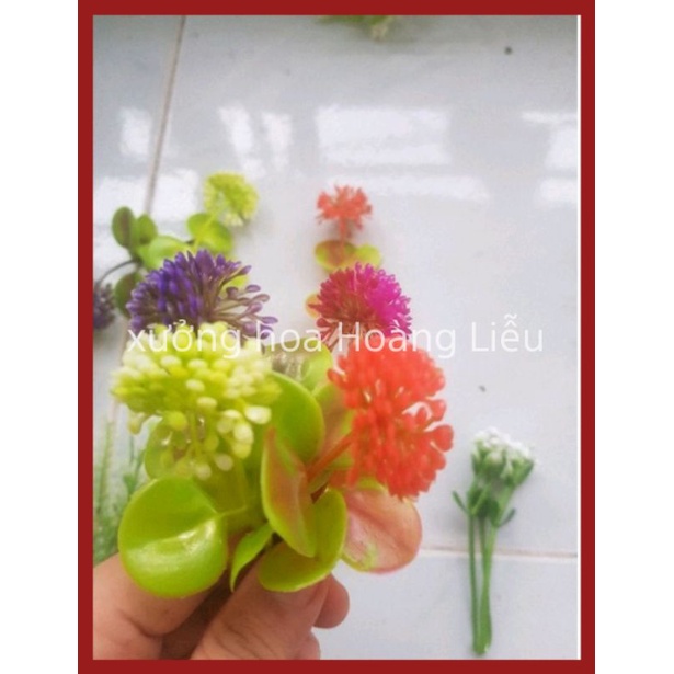 Combo 100gr Cỏ Điểm Cân, cỏ điểm trang trí.