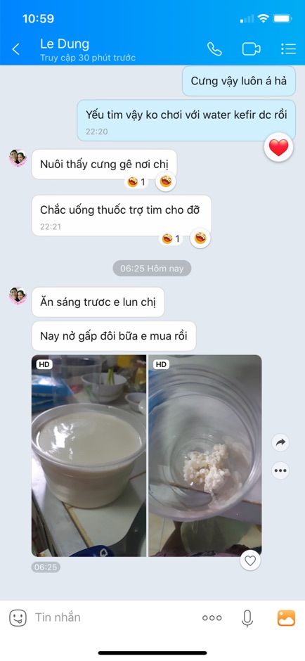 [Cam kết thành công]Nấm sữa làm sữa chua ko cần ủ Milk kefir siêu đẻ- men làm sữa chua chất lượng  KO VỚI CÂN THIẾU