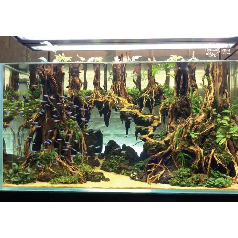 Phân Nền Thủy Sinh Akadama Supreme
