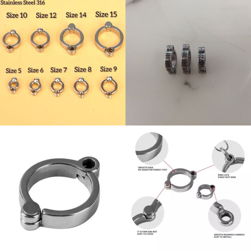 VÒNG KHÓA BẰNG INOX CHO VẸT CÓ KHẮC TÊN VÀ SỐ ĐIỆN THOẠI