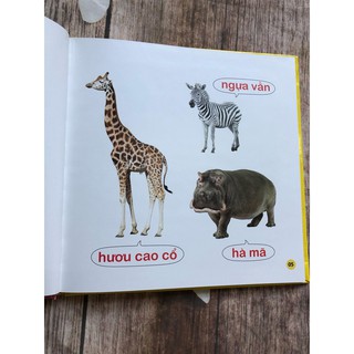 100 Từ Đầu Đời Của Bé - Con Vật