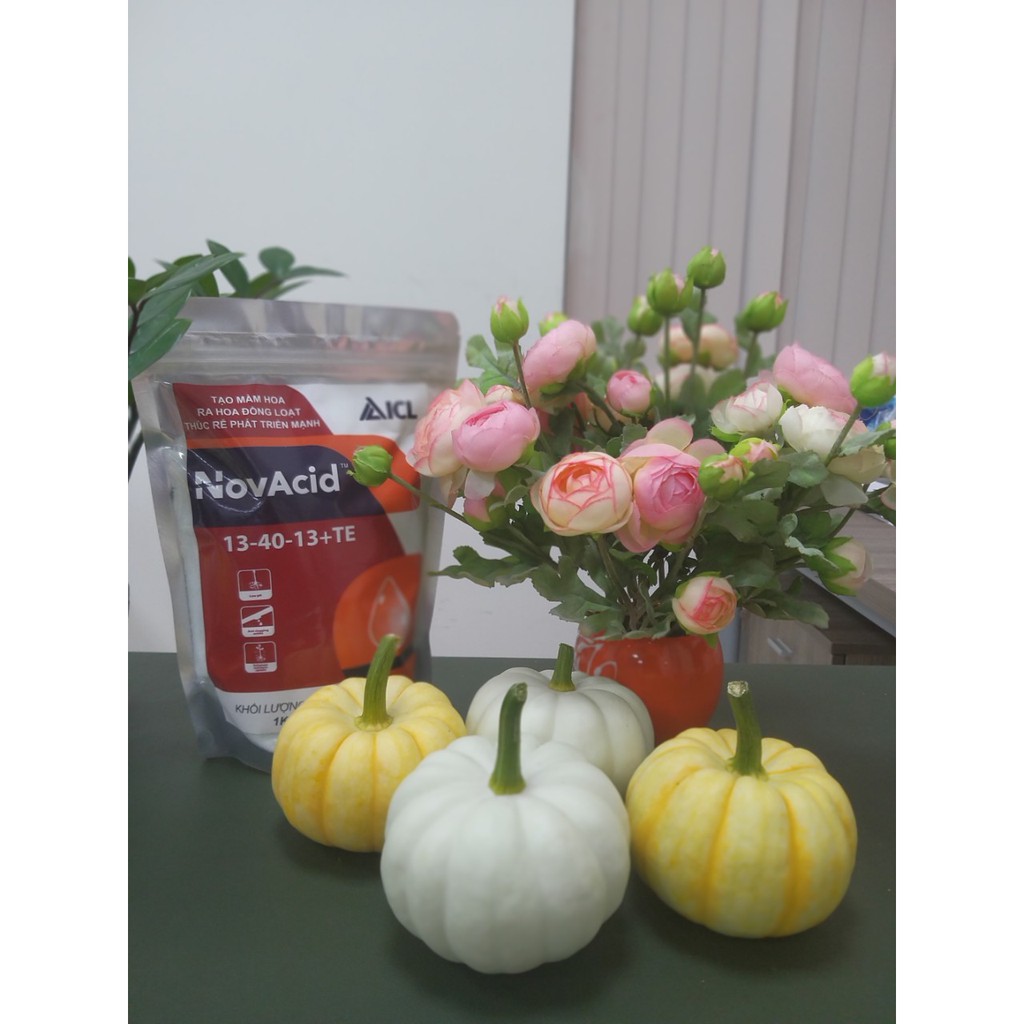 Phân bón Rau Hoa NPK 13-40-13+TE -Israel