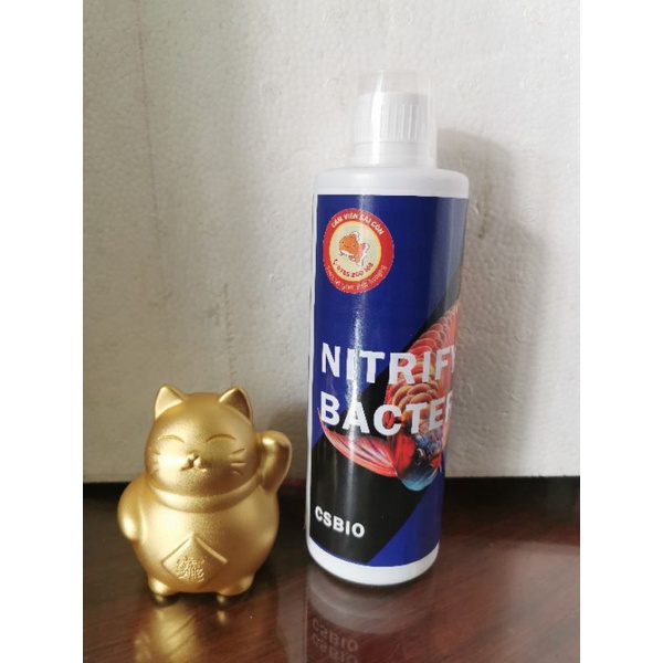 Vi sinh cao cấp cá cảnh CSBIO hạn sử dụng 500ml  14/2/2025