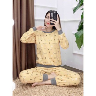 Set bộ nỉ bông thu đông.