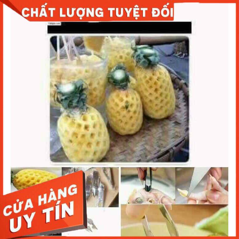 Dụng cụ gắp mắt dứa thông minh