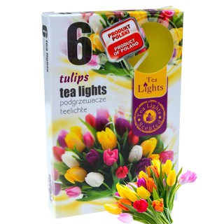 NẾN TEALIGHTS HOA TULIPS ADMIT PTT026054