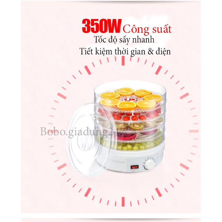 Máy Sấy Hoa Quả , Trái Cây ,Thảo Dược Mini Tại Nhà