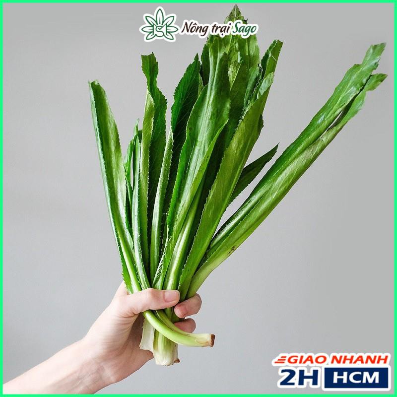 Hạt giống Rau Mùi Tàu (Ngò Gai) Trồng Quanh Năm, Sinh Trưởng Mạnh (gói 5 gr) - Nông Trại Sago