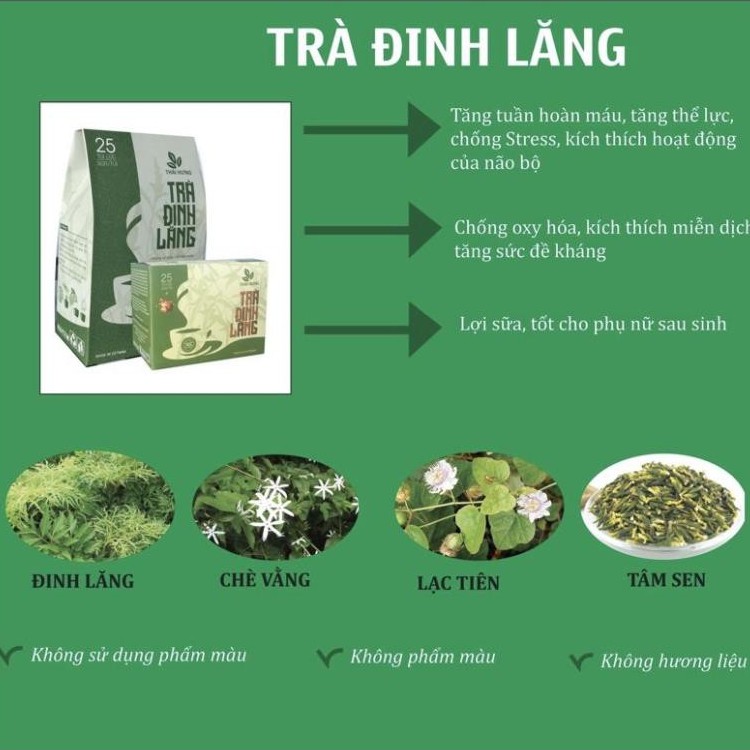 Trà đinh lăng an thần ngủ ngon Thái Hưng, trà thảo dược thiên nhiên