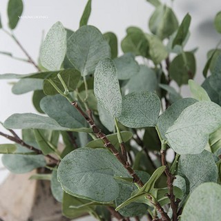 Lá cây bạch đàn giả trang trí tiệc