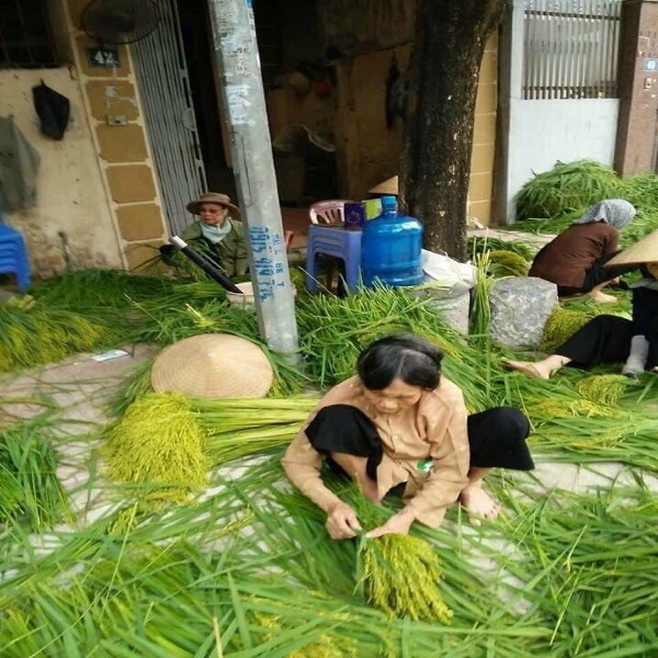 🏆🏆🏆Đặc sản làng nghề truyền thống🏆🏆🏆 Cốm mộc tươi mễ trì không chất bảo quản,không phẩm màu_gói 0,5kg và 1kg