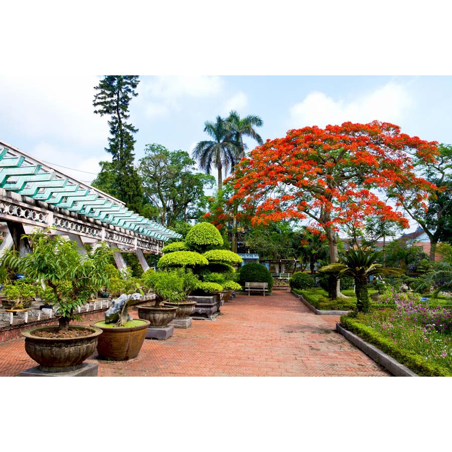 Tranh dán tường tổng hợp địa danh Việt Nam 3D hình ảnh siêu sắc nét, màu chuẩn không phai, giá cả cạnh tranh thị trường