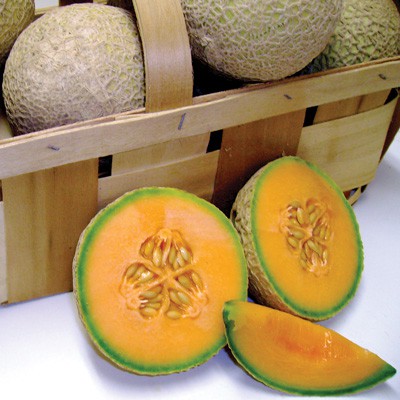 [Hạt Mỹ] - Hạt giống dưa lưới Mỹ Sugar Cube - Sugar Cube (F1) Melon Seeds - tỷ lệ nảy mầm 95% (gói 5 hạt)