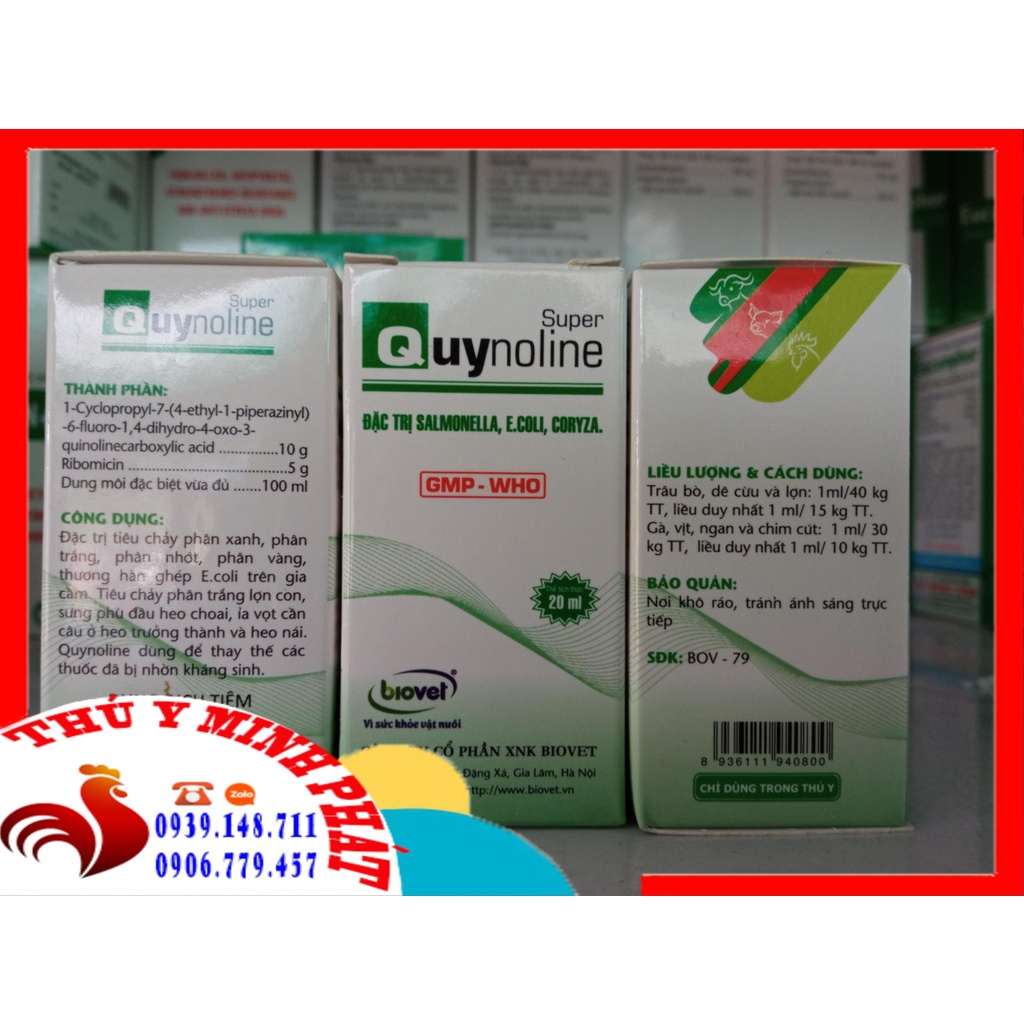 Quynoline Super (20ml) ecoli thương hàn sưng phù mặt