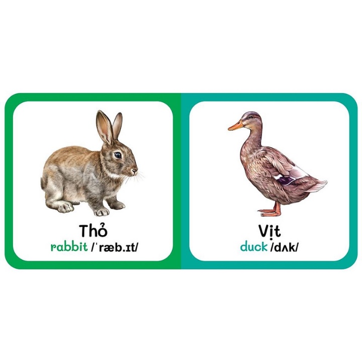 Sách - Từ Điển Bằng Hình Đầu Tiên Của Bé - Farm Animals - Động Vật Nuôi (Song Ngữ Anh-Việt)
