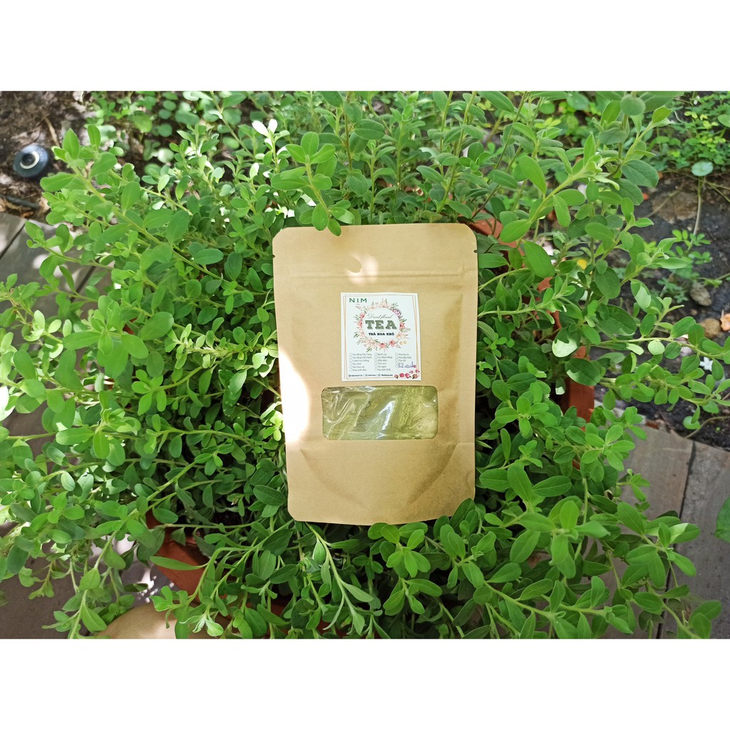 Bột cần tây sấy lạnh