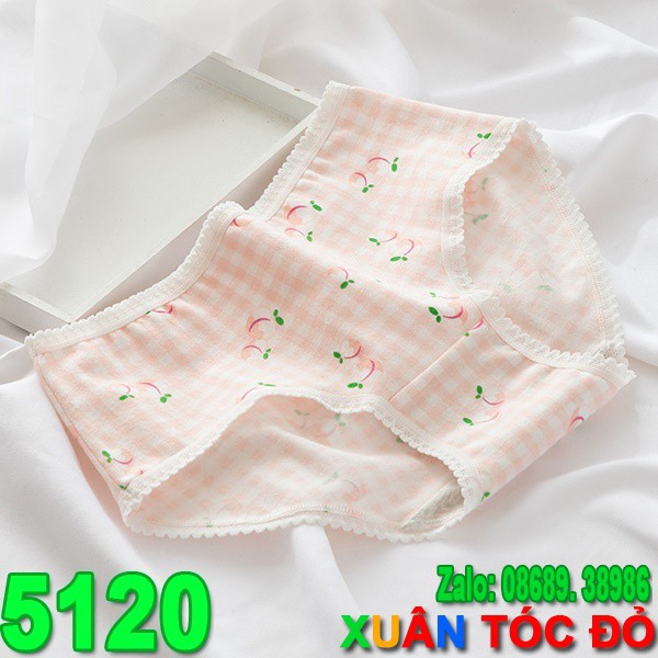  SỈ ZALO RẺ HƠN NHIỀU_ Quần Lót 5 Kiểu Đào Hồng Cực Mịn Cực Cute 5120