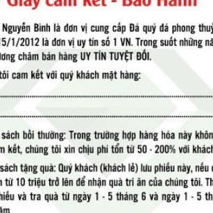 San hô đỏ trang trí phong thủy
