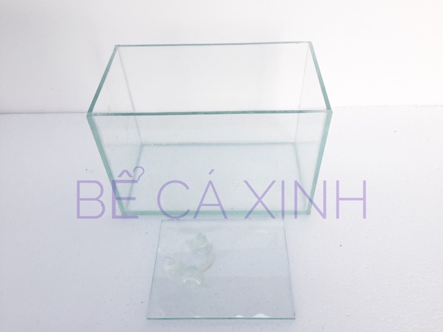 Bể cá mini ngăn đôi 25x14x16cm( vách ngăn có thể tháo lắp)