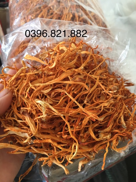 Hoa Đông Trùng hạ thảo khô 100g