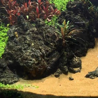 Cát nắng vàng trang trí hồ thủy sinh- Cát vàng nhập khẩu(1 bịch 1kg)