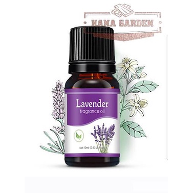 Tinh dầu Oải Hương | Lavender Essential Oil |CHẤT LƯỢNG giúp thư giản 10ml