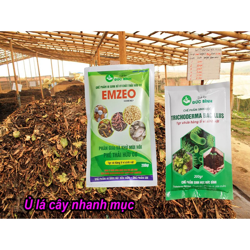 Chế phẩm vi sinh trichoderma bacillus + chế phẩm EMZEO ủ phân chuồng , rơm rạ, lá cây, mùn cưa