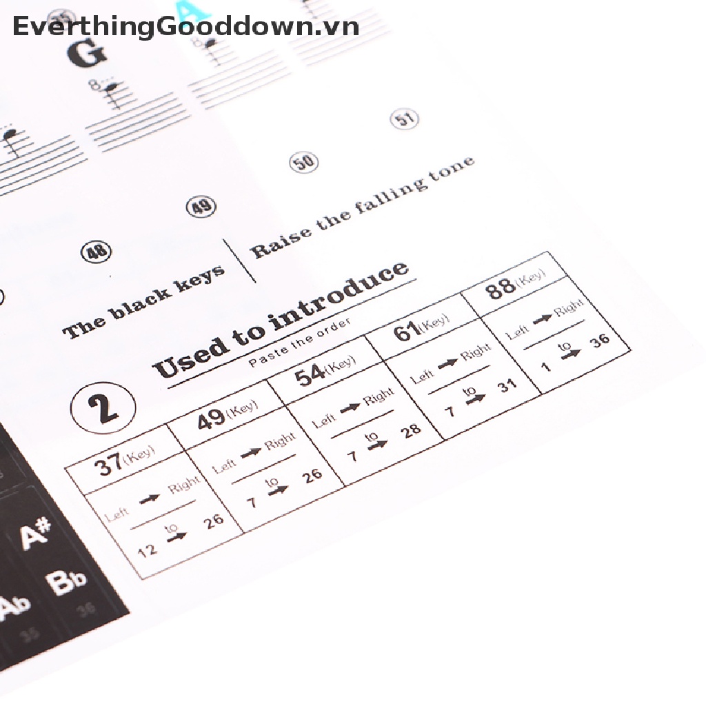 Miếng Dán Phím Đàn Piano Điện Tử Trong Suốt 54 / 61 Phím