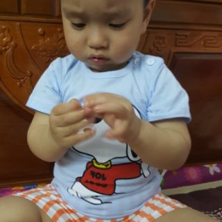 combo 3 bộ cotton cho bé trai