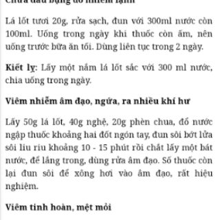 25 Cành lá nốt giống
