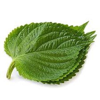 Lá Ke nhip dùng để ăn thịt nướng Hàn Quốc 200G