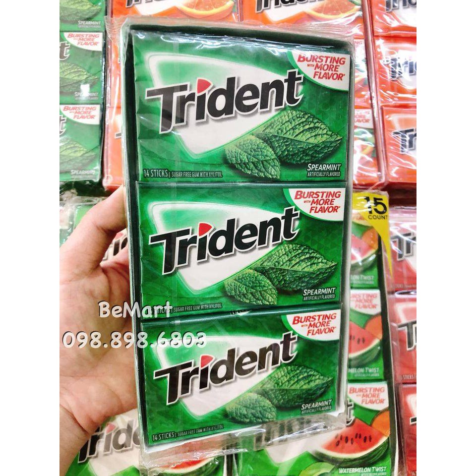 KẸO CAO SU TRIDENT