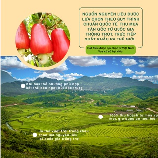 Hạt điều vị cay 454g Dan D Pak