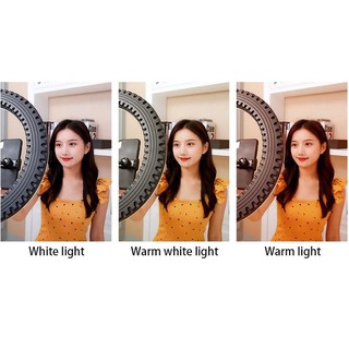 Đèn Led Ring Livestream HQ18 HL Studio