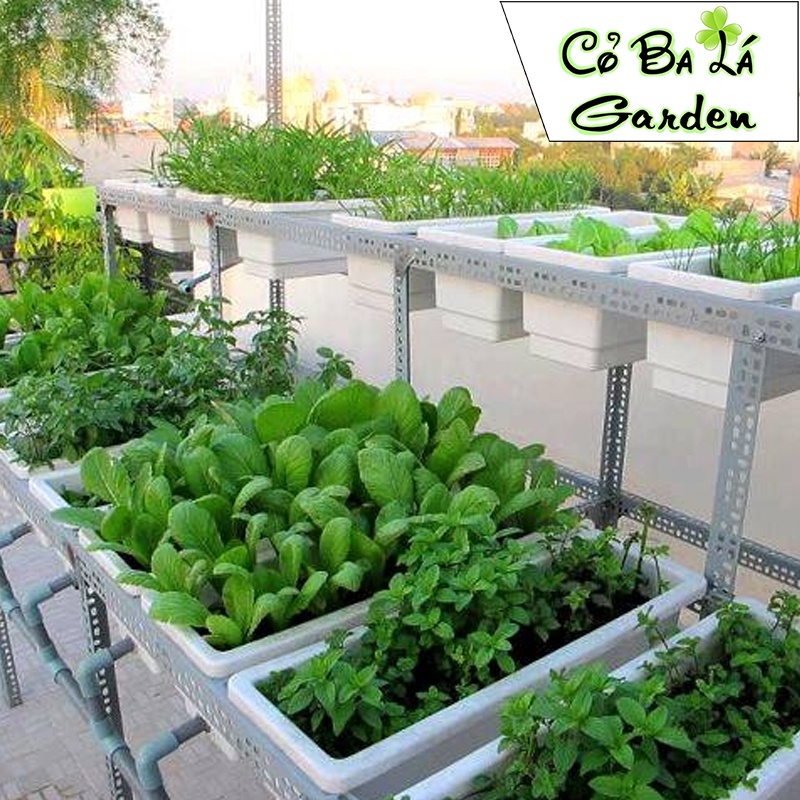 Đất sạch trồng cây, trồng hoa, trồng rau-bao sonamix chiếc lẻ-