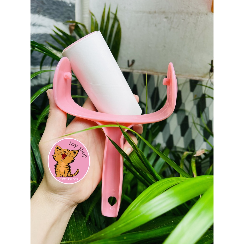[MÀU NGẪU NHIÊN] CÂY LĂN LÔNG MÈO