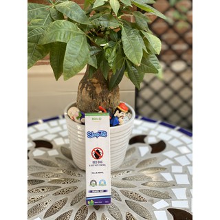 Dung dịch diệt bọ giường 100ml bio-d