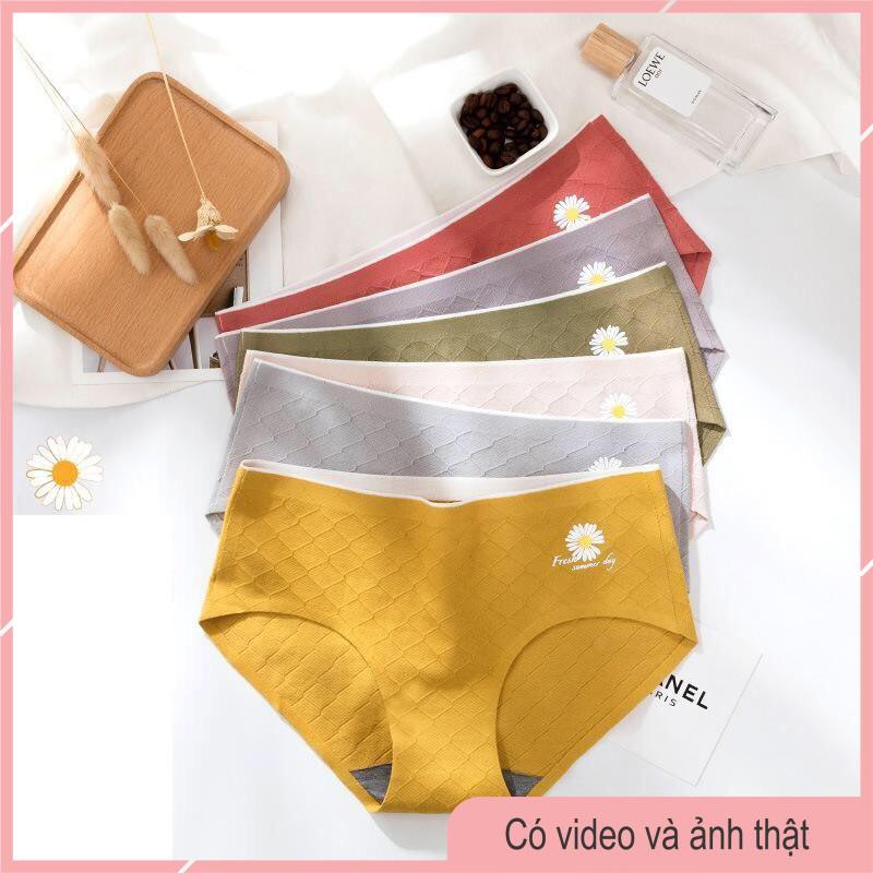 Quần Lót Cotton Thông Hơi Khàng Khuẩn, Không Đường May, Họa TIết Cúc Daisy Hot Trend 2020 -19 | BigBuy360 - bigbuy360.vn