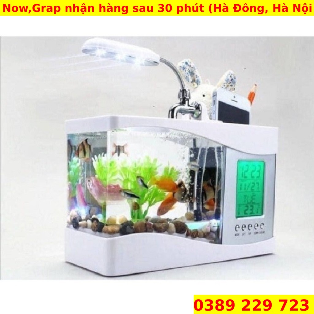 Bể Cá Mini Kiêm Đồng Hồ Để Bàn 👉⏰FREESHIP👉⏰ Thiết kế nhỏ gọn sang trọng