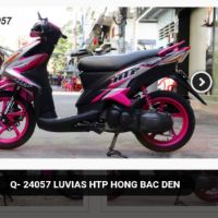 Tem rời luvias đặt in