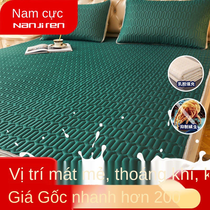 Chiếu cao su băng giá bộ 3 tấm trải giường đôi trải giường 1,5m hộ gia đình đơn ký túc xá gấp 0,6m